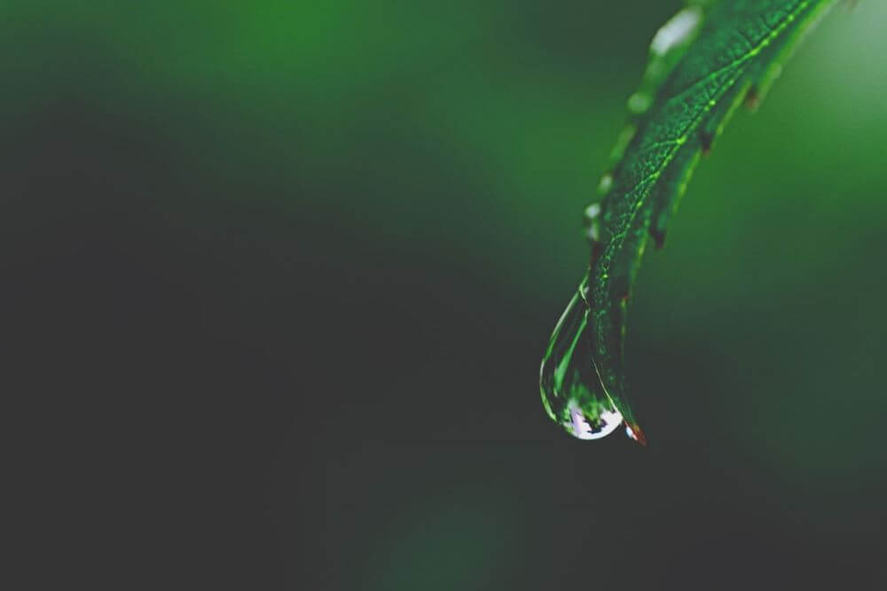 Empowering Self-Awareness